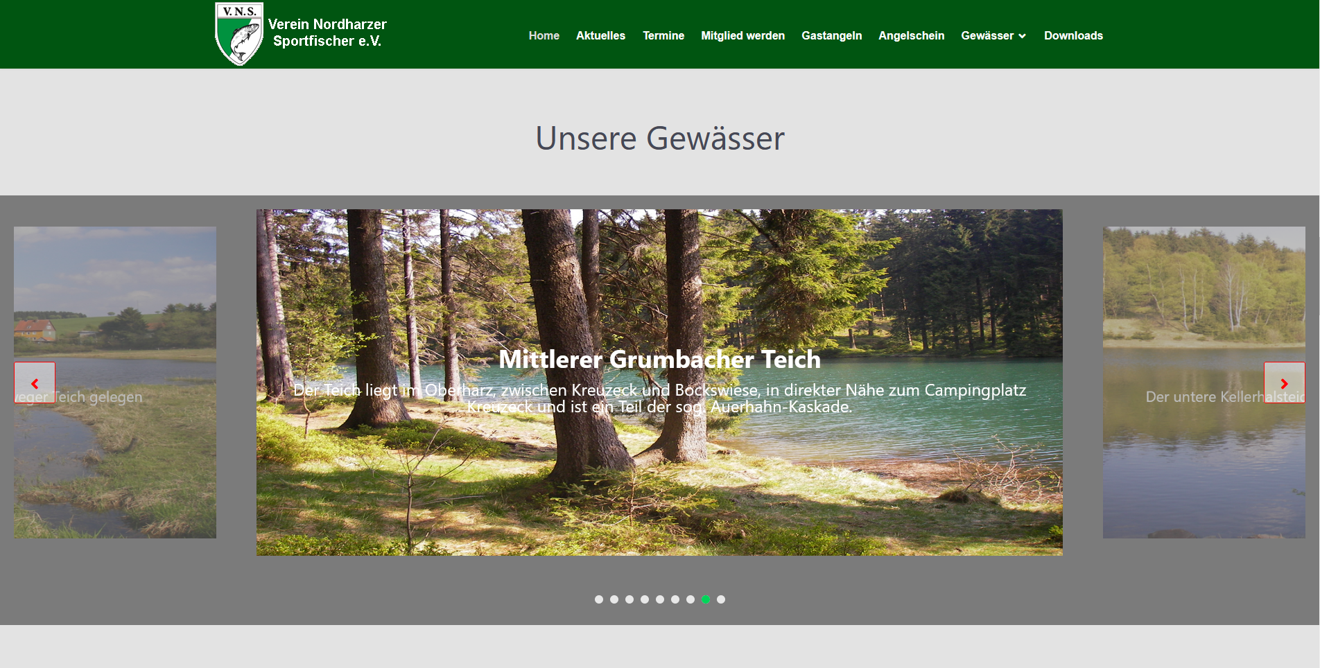 Websitescreenshot vns-goslar.de